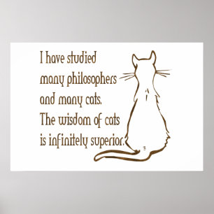 Wisdom van katten poster
