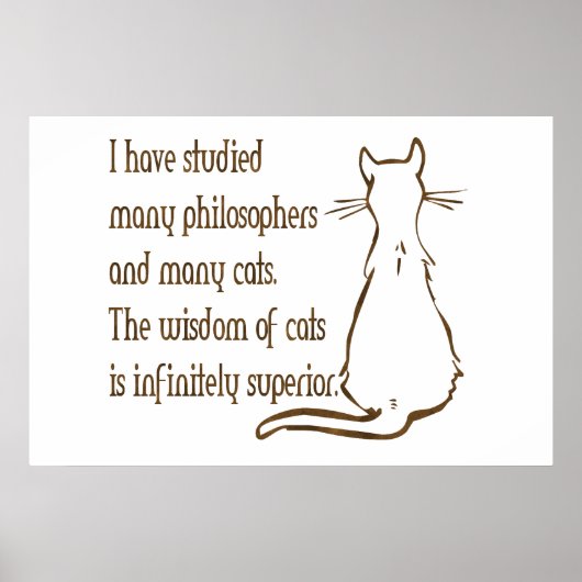 Wisdom van katten poster (Voorkant)