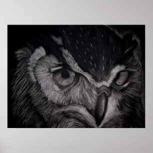 Wise Eyes Poster