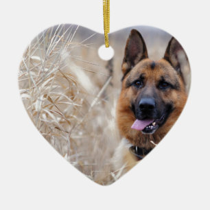 Wise German Shepherd Puppy Keramisch Ornament