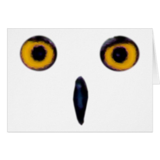 Wise Old Owl Eyes (Voorkant Horizontaal)