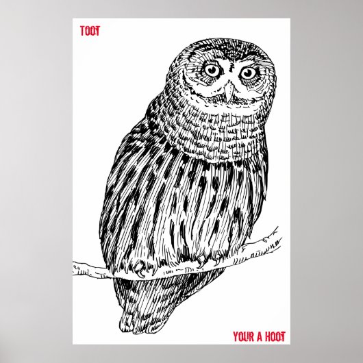 Wise Old Owl Poster (Voorkant)