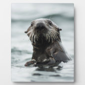 Wise Otter Fotoplaat (Voorkant)