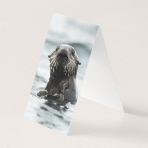 Wise Otter Kaart