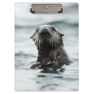 Wise Otter Klembord