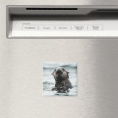 Wise Otter Magneet (Insitu (Vaatwasser))