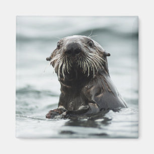 Wise Otter Magneet