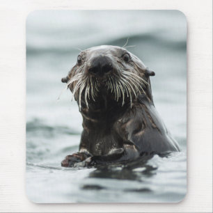 Wise Otter Muismat