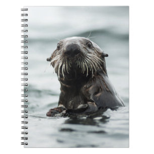 Wise Otter Notitieboek