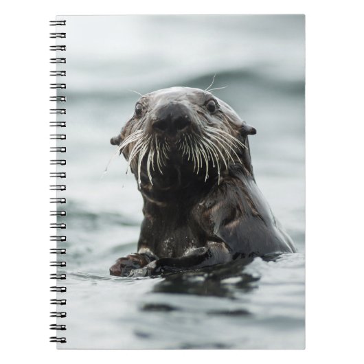 Wise Otter Notitieboek (Voorkant)