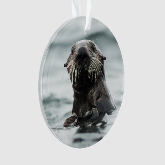 Wise Otter Ornament (voorkant)