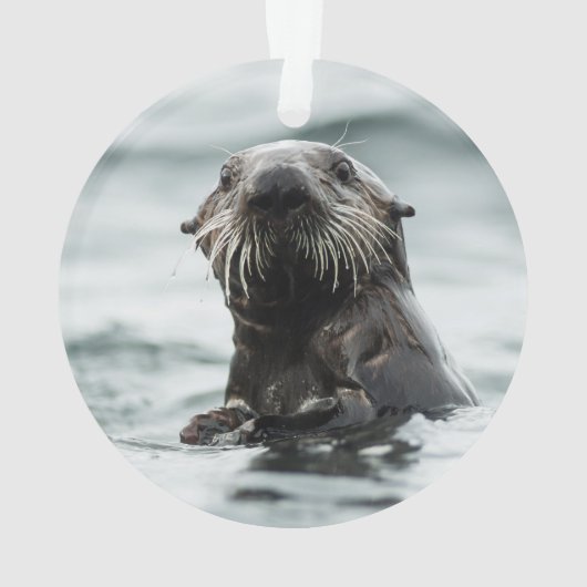 Wise Otter Ornament (achterkant)