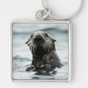 Wise Otter Sleutelhanger