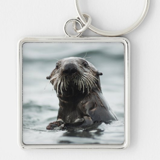 Wise Otter Sleutelhanger (Voorkant)