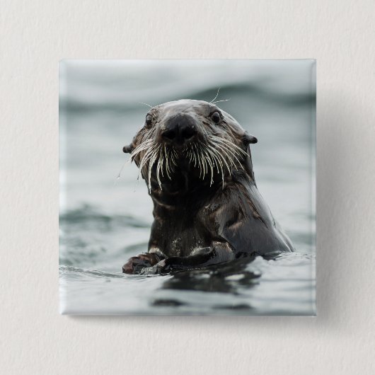 Wise Otter Vierkante Button 5,1 Cm (Voorkant)