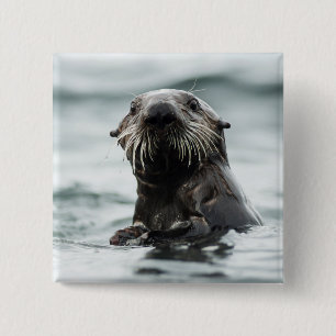 Wise Otter Vierkante Button 5,1 Cm