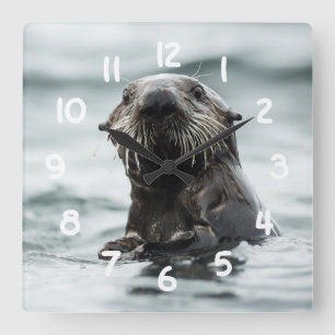 Wise Otter Vierkante Klok