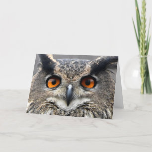 Wise Owl-foto Kaart