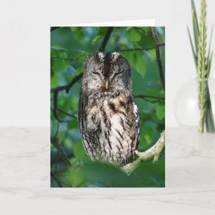 Wise owl kaart