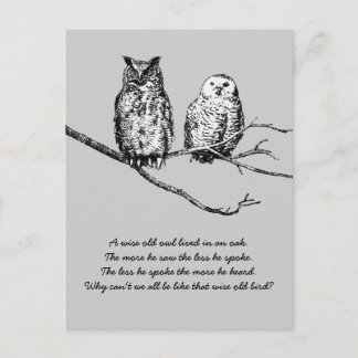 Wise Owl Wisdom Briefkaart