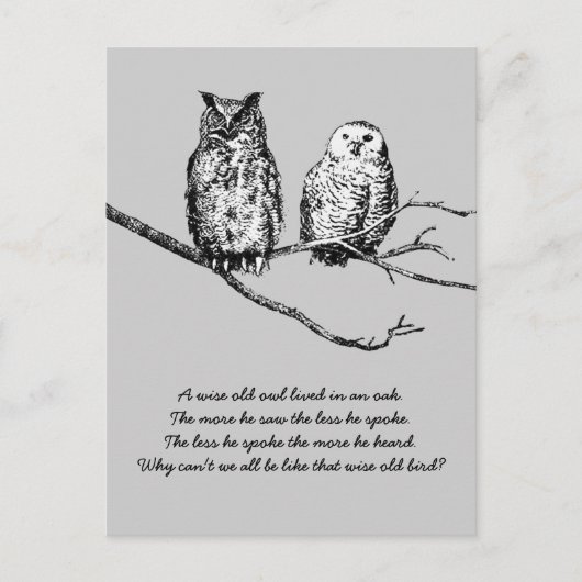 Wise Owl Wisdom Briefkaart (Voorkant)