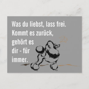 Wise Poodle Briefkaart