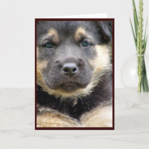 Wise Pup Wenskaarten Feestdagen Kaart