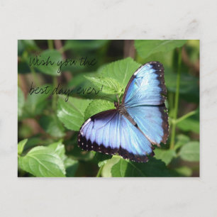 Wish you the best day ever! briefkaart