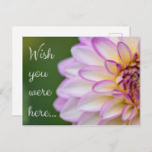 Wish you were here... briefkaart (Voorkant / Achterkant)