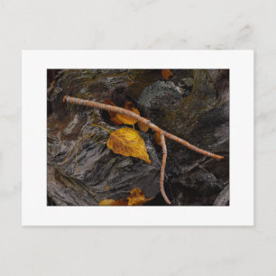 "Wishbone" Briefkaart