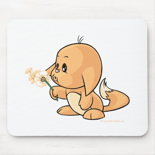 Wishing oranje Kacheek Muismat (Voorkant)