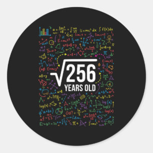Wiskunde Vierkantswortel 256 Jaar Oud, Grappige Wi Ronde Sticker