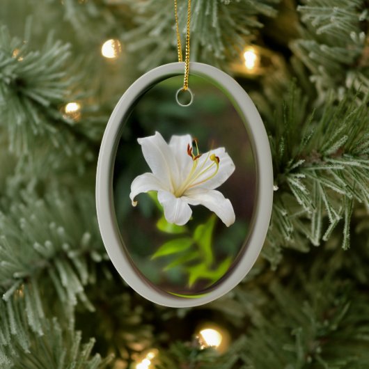 Wislichtwitte lib keramisch ornament (Boom)
