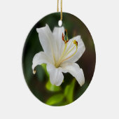 Wislichtwitte lib keramisch ornament (Rechts)