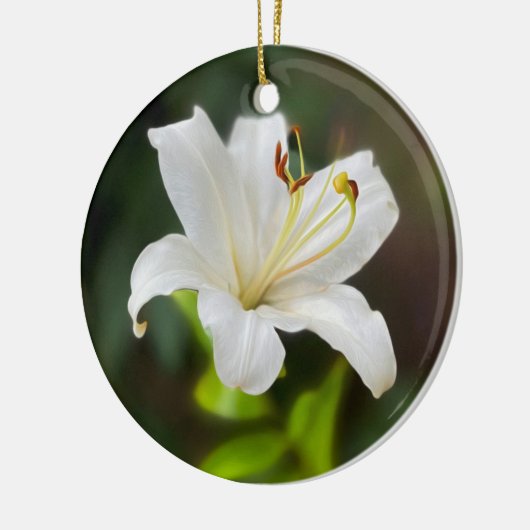 Wislichtwitte lib keramisch ornament (Links)