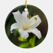 Wislichtwitte lib keramisch ornament (Achterkant)