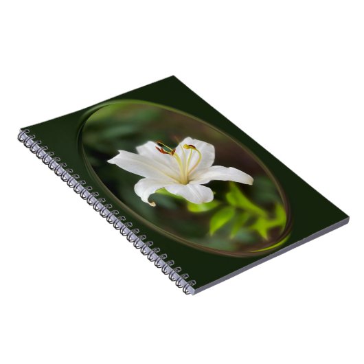Wislichtwitte lib notitieboek (Rechterzijde)