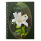 Wislichtwitte lib notitieboek (Voorkant)