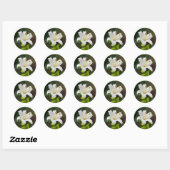 Wislichtwitte lib ronde sticker (Vel)