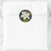 Wislichtwitte lib ronde sticker (Tas)