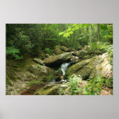 Wisperende Herfsten Poster (Voorkant)