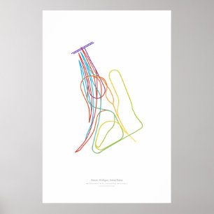 Wissel Choreografie: Detroit, MI, VS Poster