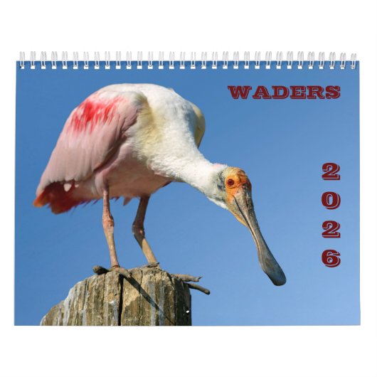 wisselaarkalender kalender (Hoes)