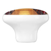 Wisselaarkleppen keramische knop (Zijkant)