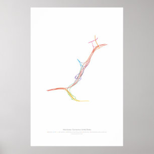 Wisselkoor Choreografie: Manchester, CT, VS Poster