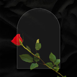 Wissen 5 "x7" Arch Blank Trouwtafel Nummer Acryl Uitnodigingen