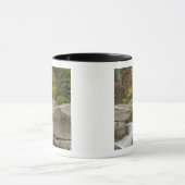 Wisserivier die door stenen stroomt, wit mok (Midden)