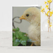 Wist je dat? One Hot Chick, jarig Kaart (Gele Bloem)