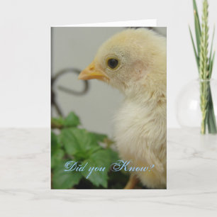 Wist je dat? One Hot Chick, jarig Kaart