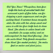 Wist je dat? poster (Voorkant)